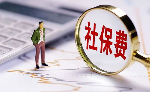 新改革,新時(shí)代下的新選擇