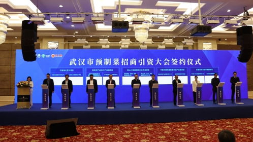 風脈能源30億元投資江夏山坡街道 打造萬畝低碳高效水產(chǎn)養(yǎng)殖綜合開發(fā)項目